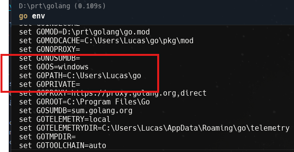 Exemplo do comando go env